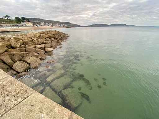 Clear coastal water and stone breakwater wall.