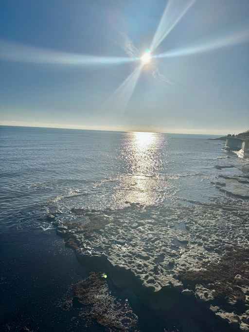 Bright sun starburst over bright ocean and rocky shore.