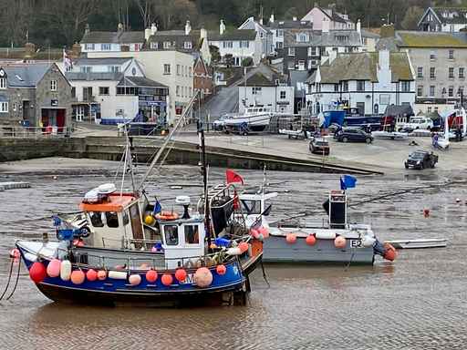 Fishing boats docked in a harbour with coastal town background.