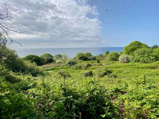 Overlooking dense green vegetation towards a calm blue sea.
