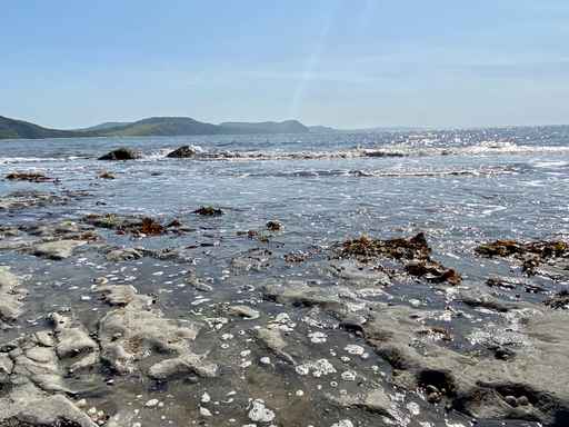 Shallow water and rock pools on a coastal shore.