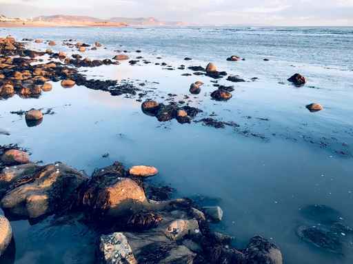 Rocky shoreline with shallow water at low tide.